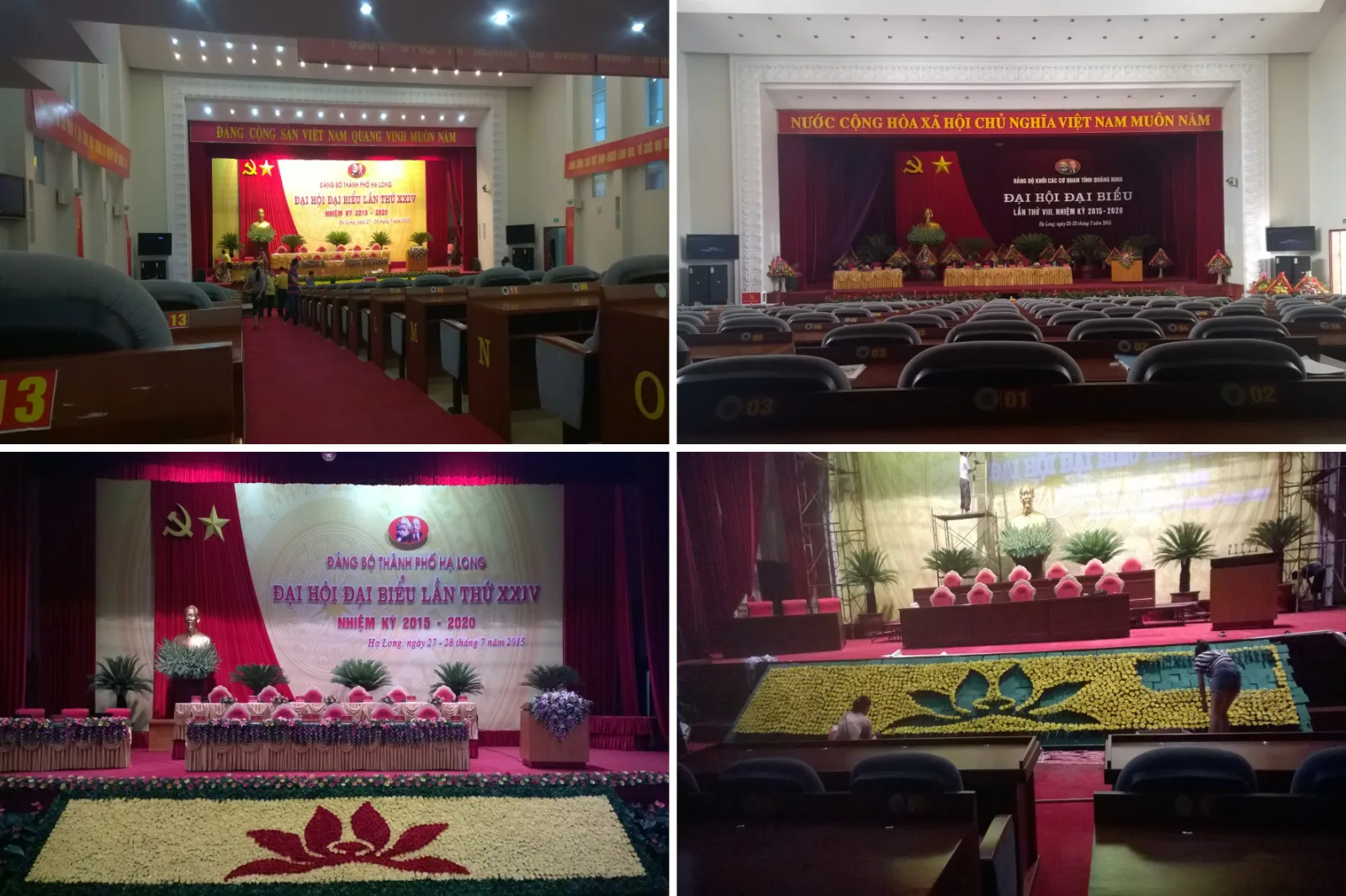 CÔNG TY TNHH THƯƠNG MẠI HÒA BÌNH 369